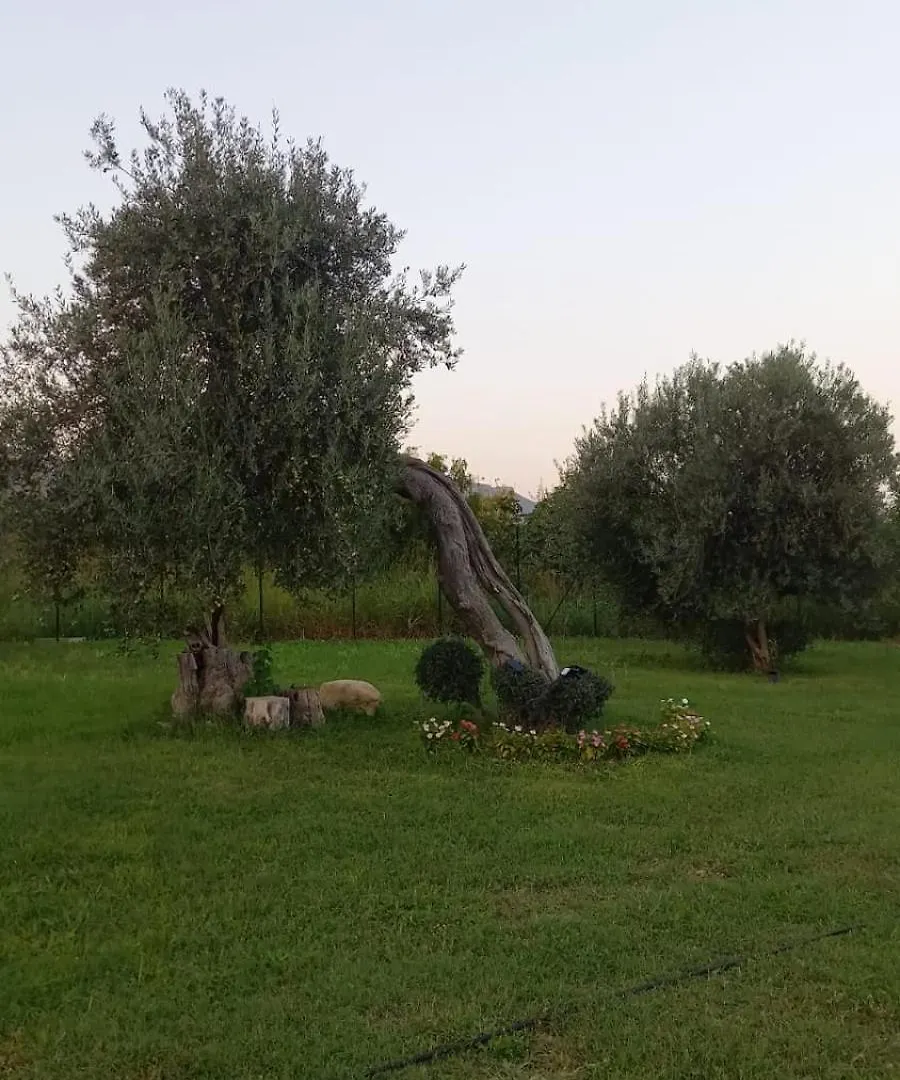 아볼라 I Secolari Di Giulia 빌라 펜션
